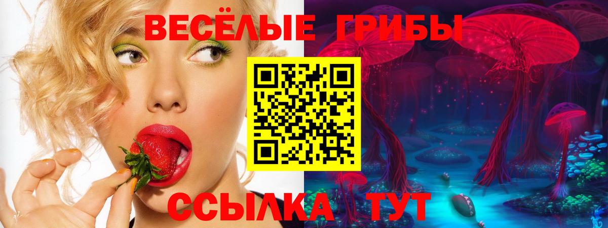 Каменск-Шахтинский  Галлюциногенные грибы прущие грибы  Галлюциногенные грибы мицелий  Вход с VPN 
